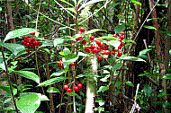 DSC01223 copie.jpg