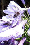 DSC01258 copie.jpg