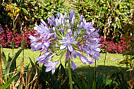 DSC01259 copie.jpg