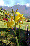 DSC01260 copie.jpg