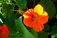 DSC01263 copie.jpg