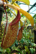 DSC01274 copie.jpg