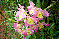 DSC01276 copie.jpg