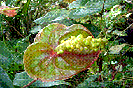 DSC01277 copie.jpg