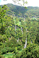 DSC01278 copie.jpg
