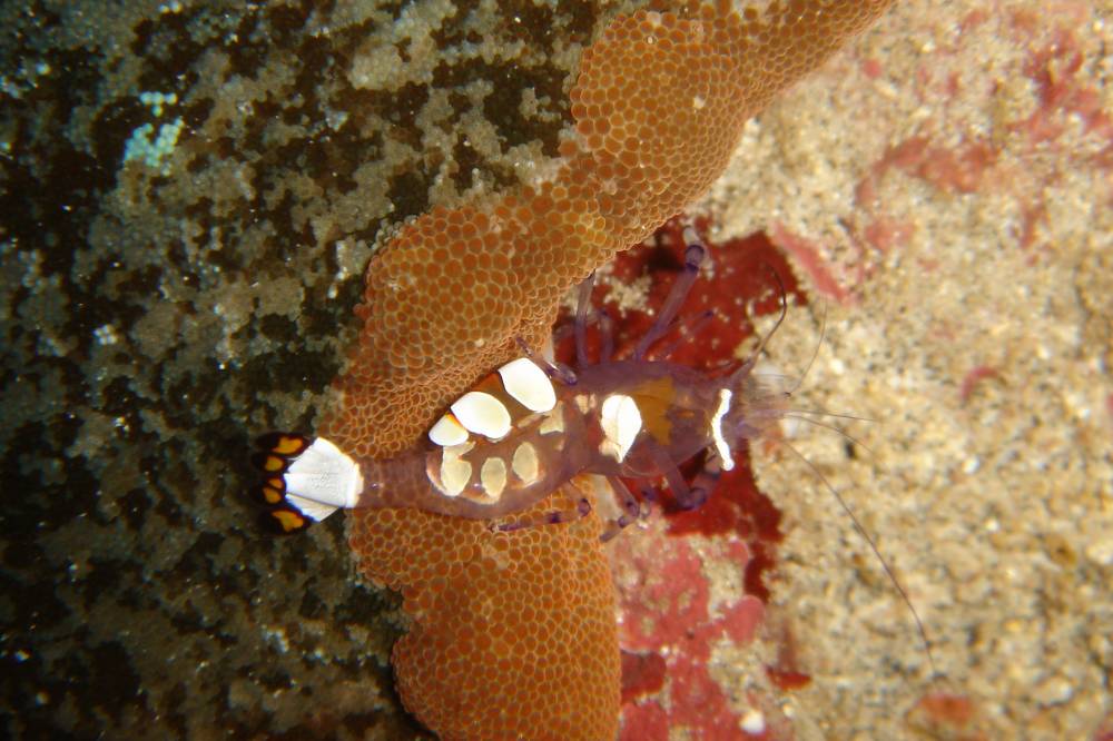 DSC01116 copie.jpg