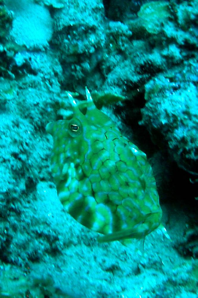 DSC01567 copie.jpg