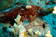 DSC01133 copie.jpg