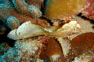 DSC01136 copie.jpg