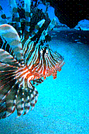 DSC01504 copie.jpg