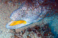 DSC01519 copie.jpg