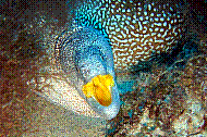 DSC01520 copie.jpg