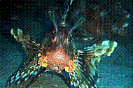 DSC01558 copie.jpg
