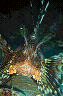 DSC01559 copie.jpg