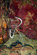 DSC01574 copie.jpg