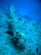 DSC01579 copie.jpg