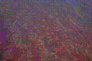 DSC01637 copie.jpg