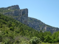 Saint-Guilhem le Desert (16).JPG