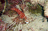DSC06207 copie.JPG