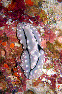 DSC06212 copie.jpg