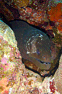 DSC06215 copie.JPG