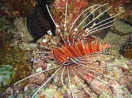 DSC06255 copie.JPG