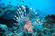 DSC06258 copie.JPG