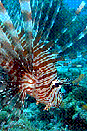 DSC06259 copie.JPG