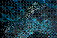 DSC06341 copie.JPG