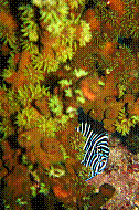 DSC06350 copie.jpg