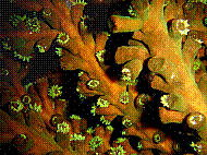 DSC06359 copie.JPG