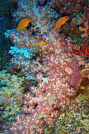DSC05942 copie.JPG DSC05942 copie.JPG