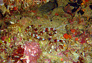 DSC05962 copie.jpg DSC05962 copie.jpg