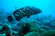 DSC06026 copie.jpg