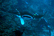 DSC06039 copie.JPG