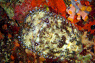 DSC06097 copie.jpg
