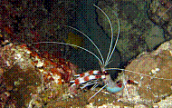 DSC06099 copie.jpg
