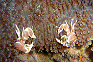 DSC06110 copie.JPG