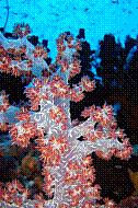 DSC06111 copie.JPG