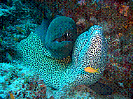 DSC06122 copie.jpg