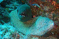 DSC06123 copie.JPG
