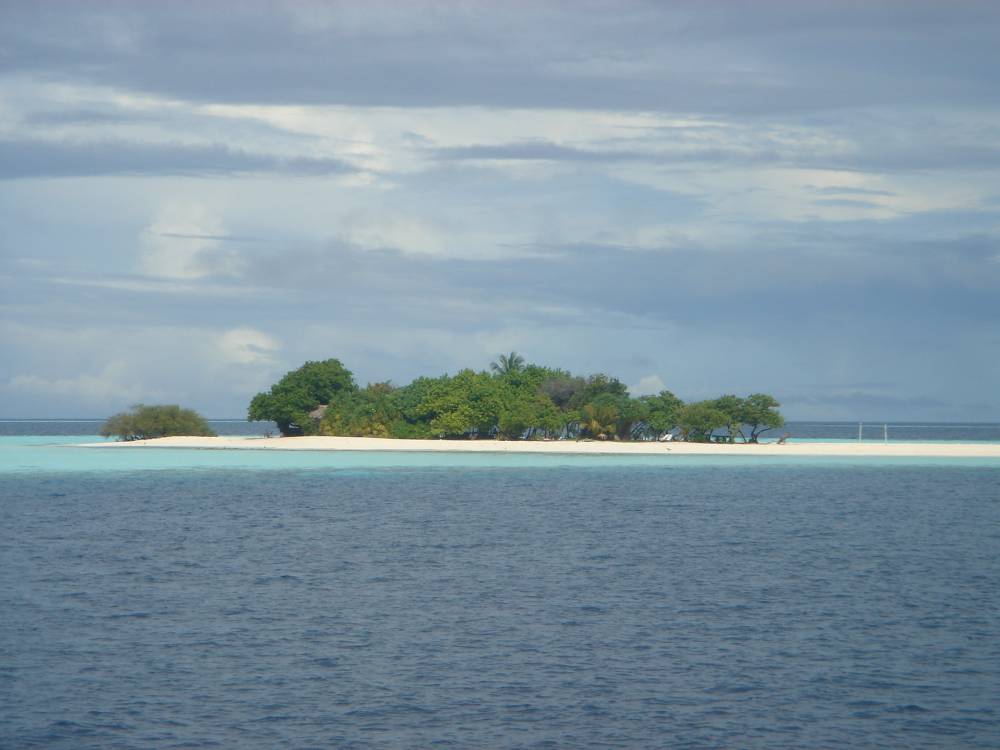DSC06221.JPG