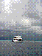 DSC06071 copie.JPG