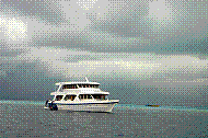 DSC06072 copie.jpg