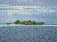 DSC06221.JPG