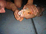 DSC06204.JPG