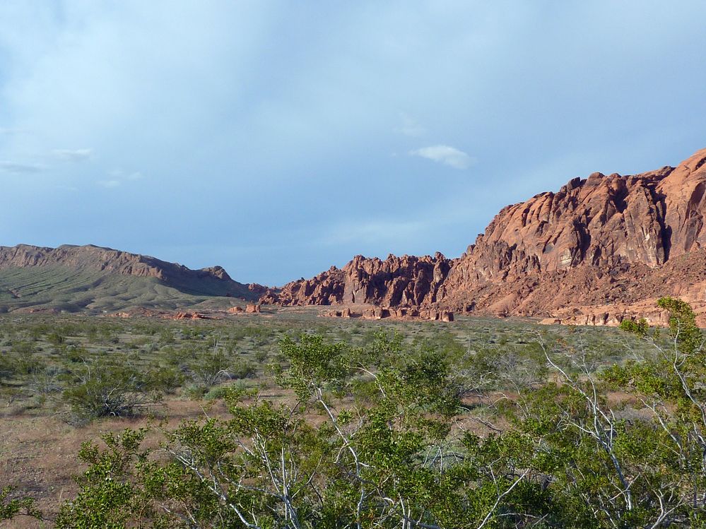 P1080647.JPG