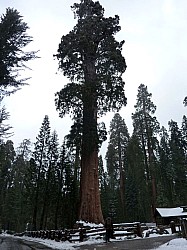 Sequoia parc(16).JPG Sequoia parc(16).JPG
