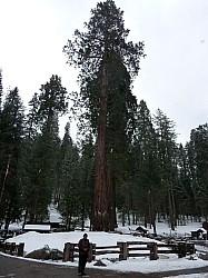 Sequoia parc(17).JPG Sequoia parc(17).JPG