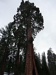 Sequoia parc(18).JPG Sequoia parc(18).JPG